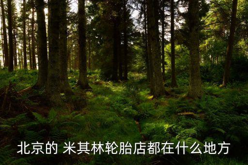 北京的 米其林轮胎店都在什么地方