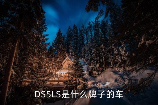 ds5ls汽车配件