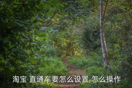  淘宝 直通车要怎么设置,怎么操作