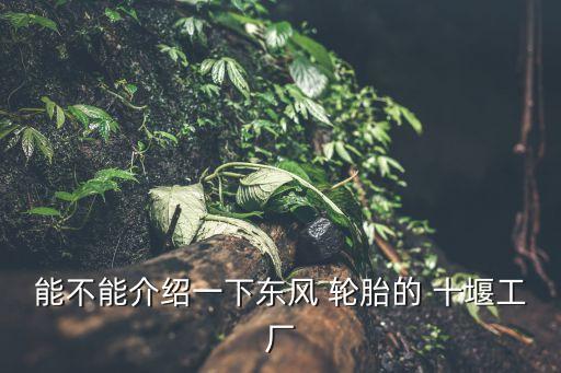 能不能介绍一下东风 轮胎的 十堰工厂