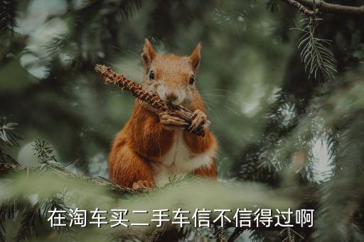 在淘车买二手车信不信得过啊