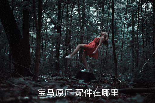  宝马原厂 配件在哪里