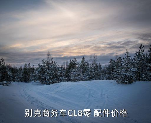  别克商务车GL8零 配件价格