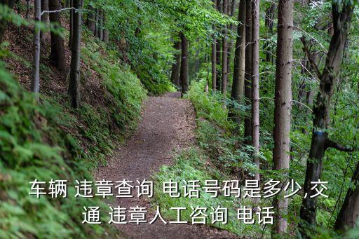 车辆 违章查询 电话号码是多少,交通 违章人工咨询 电话