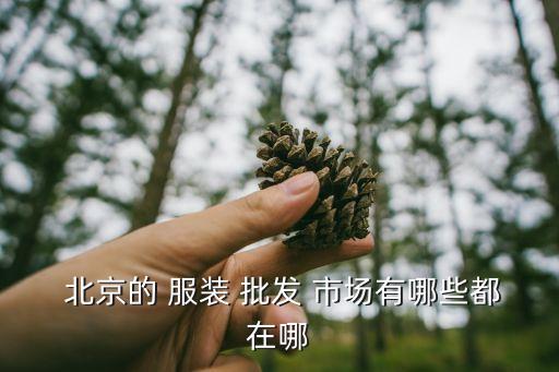  北京的 服装 批发 市场有哪些都在哪