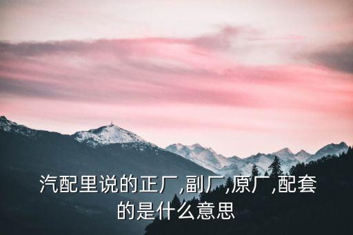  汽配里说的正厂,副厂,原厂,配套的是什么意思