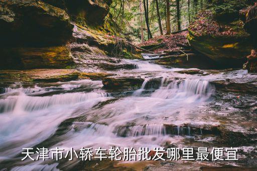  天津市小轿车轮胎批发哪里最便宜