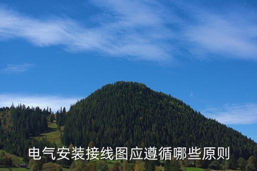 电气安装接线图应遵循哪些原则