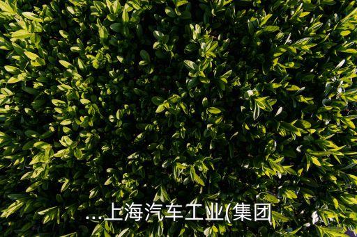 ...上海汽车工业(集团