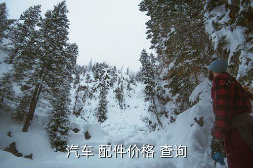 哪里可以查询4s店配件价格