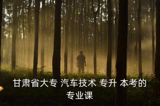 甘肃省大专 汽车技术 专升 本考的专业课