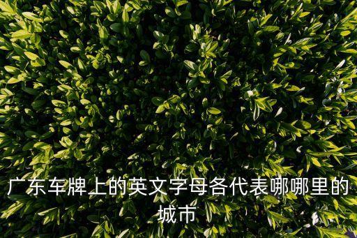 广东车牌上的英文字母各代表哪哪里的城市