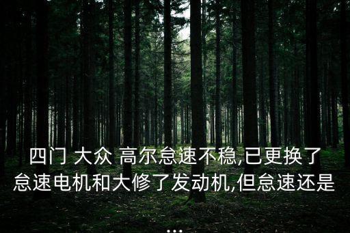 四门 大众 高尔怠速不稳,已更换了怠速电机和大修了发动机,但怠速还是...