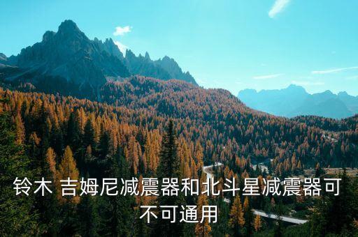 铃木 吉姆尼减震器和北斗星减震器可不可通用
