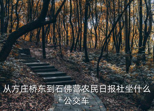 从方庄桥东到石佛营农民日报社坐什么公交车