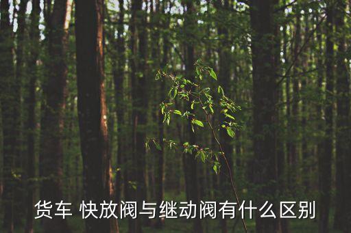 货车 快放阀与继动阀有什么区别