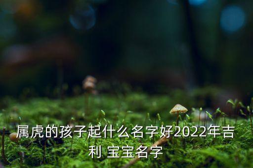 属虎的孩子起什么名字好2022年吉利 宝宝名字