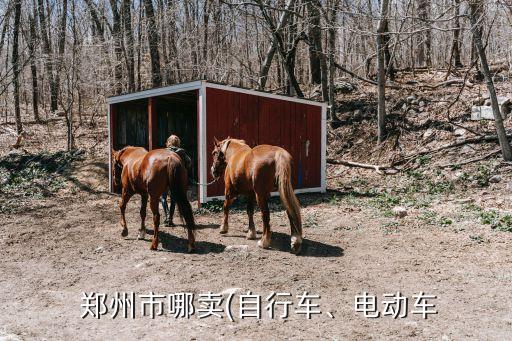  郑州市哪卖(自行车、电动车
