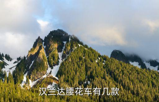 汉兰达腰花车有几款