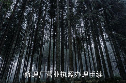  修理厂营业执照办理手续