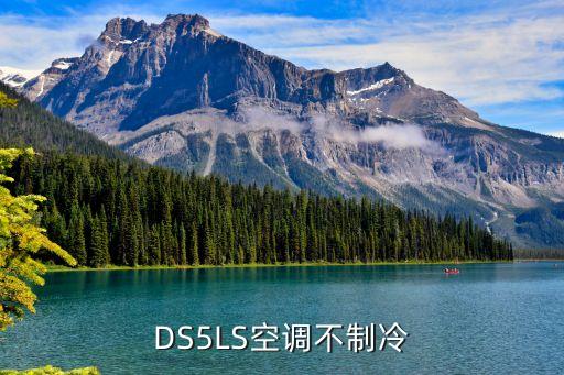 DS5LS空调不制冷