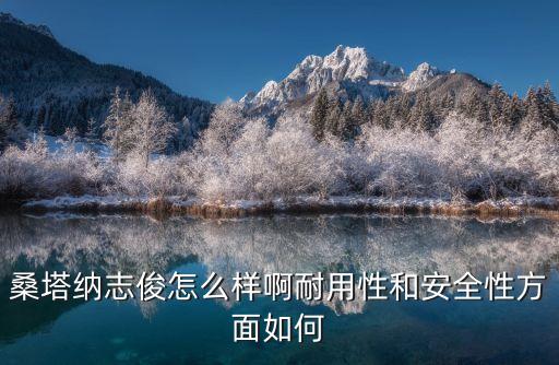 桑塔纳志俊怎么样啊耐用性和安全性方面如何