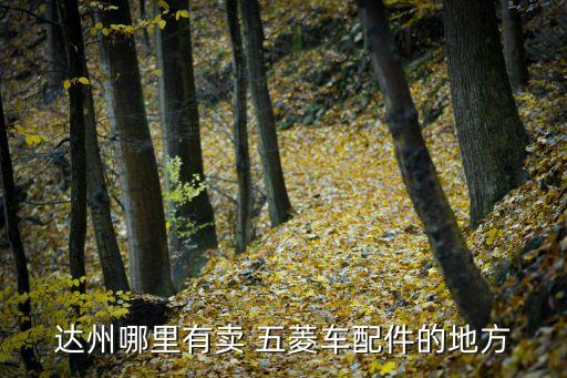 达州哪里有卖 五菱车配件的地方