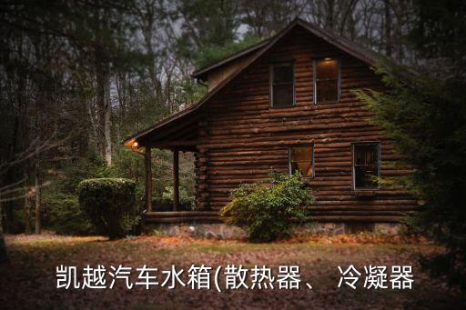 别克凯越冷凝器多少钱,07款别克凯越现在还值多少钱