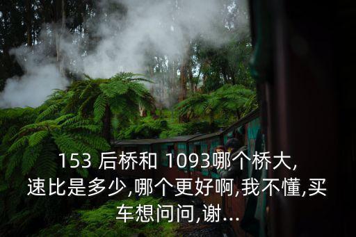 153 后桥和 1093哪个桥大,速比是多少,哪个更好啊,我不懂,买车想问问,谢...