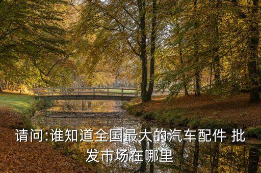 请问:谁知道全国最大的汽车配件 批发市场在哪里