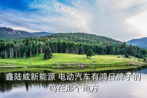 鑫陆威新能源 电动汽车有鸿日牌子的吗在那个地方