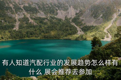 有人知道汽配行业的发展趋势怎么样有什么 展会推荐去参加