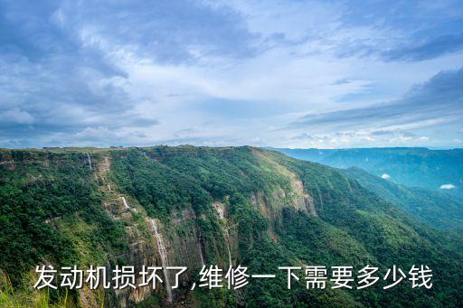  发动机损坏了,维修一下需要多少钱