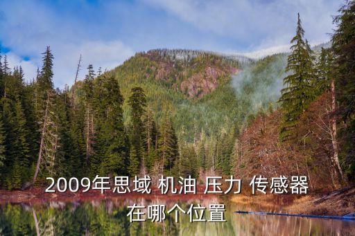 2009年思域 机油 压力 传感器在哪个位置