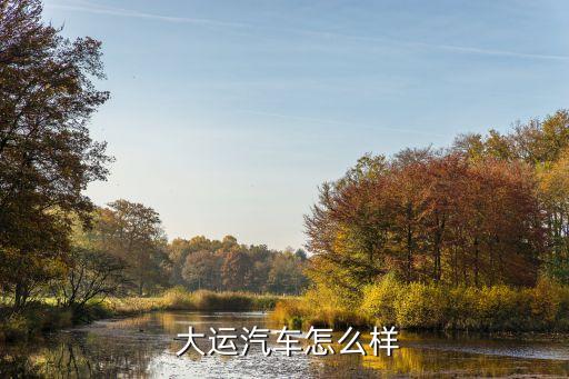 大运重卡配件 原厂