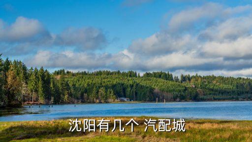  沈阳有几个 汽配城