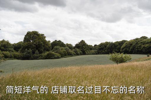 简短洋气的 店铺取名过目不忘的名称