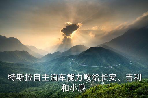  特斯拉自主泊车能力败给长安、吉利和小鹏