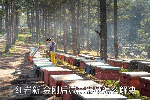  红岩新 金刚后减震器硬怎么解决