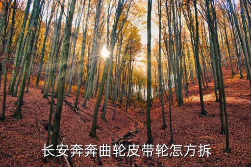  长安奔奔曲轮皮带轮怎方拆
