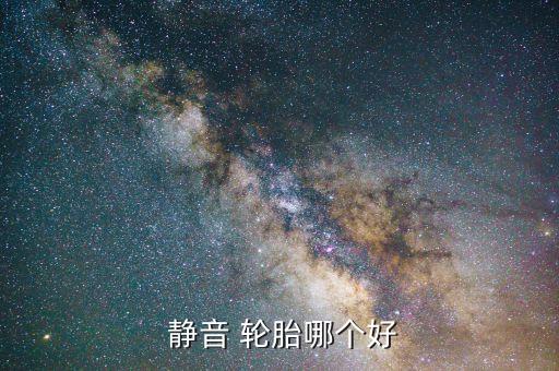  静音 轮胎哪个好