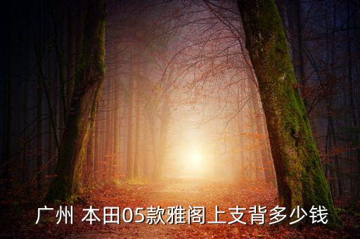  广州 本田05款雅阁上支背多少钱