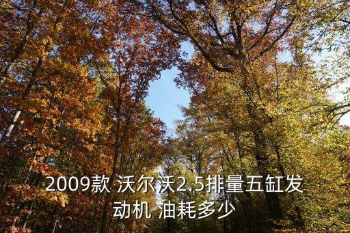2009款 沃尔沃2.5排量五缸发动机 油耗多少