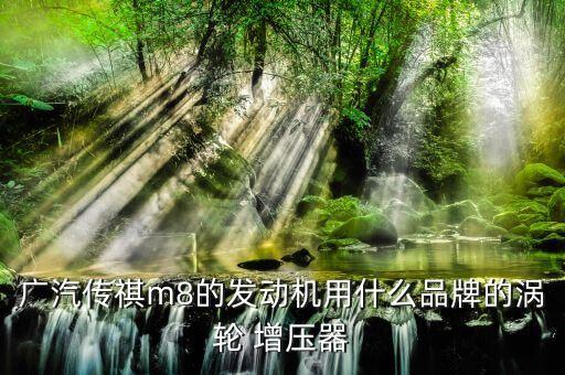 广汽传祺m8的发动机用什么品牌的涡轮 增压器