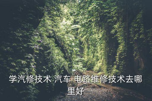 学汽车电路去哪个学校比较好,全国排名第一的汽修学校