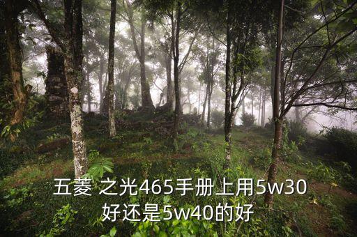  五菱 之光465手册上用5w30好还是5w40的好