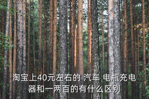 汽车电瓶价格高低有什么区别,汽车价格高低取决于什么
