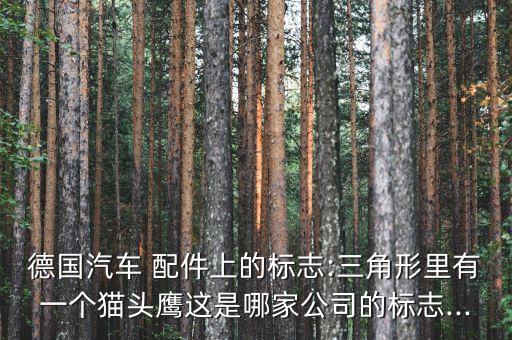 德国汽车 配件上的标志:三角形里有一个猫头鹰这是哪家公司的标志...