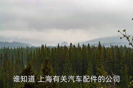 谁知道 上海有关汽车配件的公司
