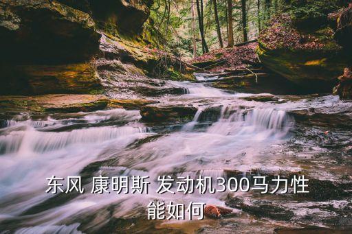  东风 康明斯 发动机300马力性能如何